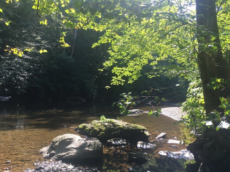 A nice view at the camp site along Pennypack Creek