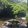 A nice view at the camp site along Pennypack Creek