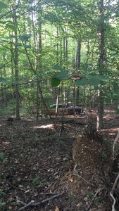 Random classic car full of rocks.