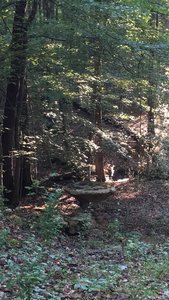 I'm not sure what this was, but it was pretty cool.