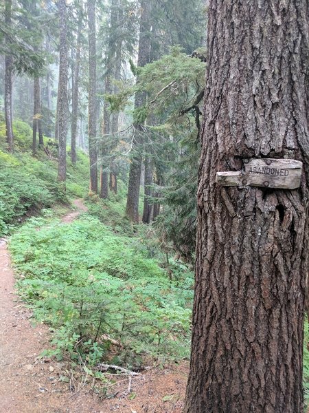 Abandoned Sign Heading Back onto the Cascade Crest Trail