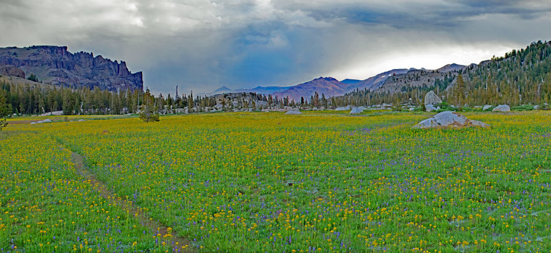 A stormy morning in Upper Relief Valley