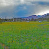 A stormy morning in Upper Relief Valley