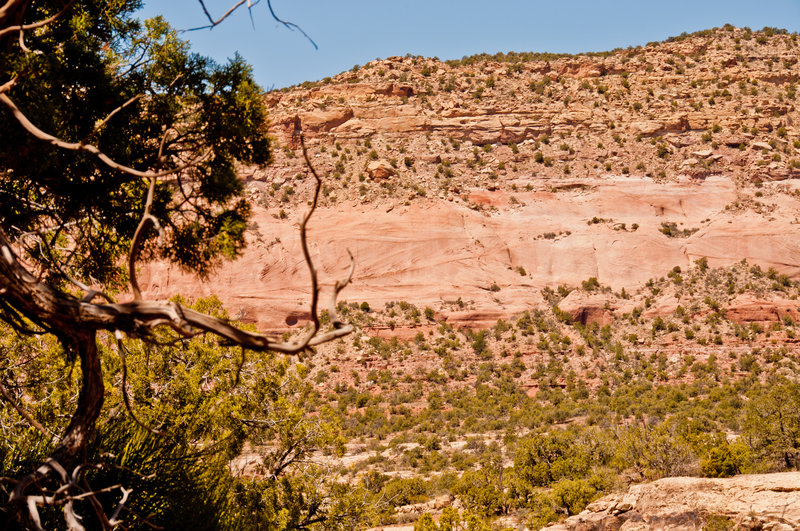 Canyons of the Ancients