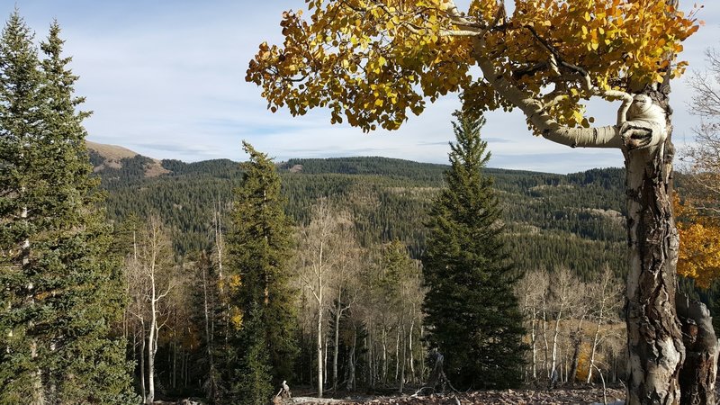 Beautiful view towards City Creek from Tushar Ridge.