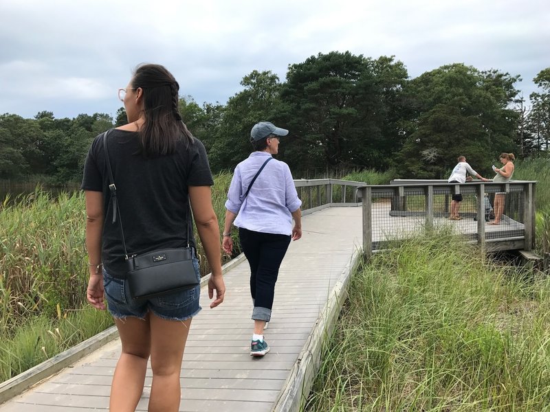 Boardwalk viewpoint along the marsh on Goose Pond Trail.