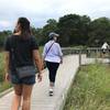 Boardwalk viewpoint along the marsh on Goose Pond Trail.