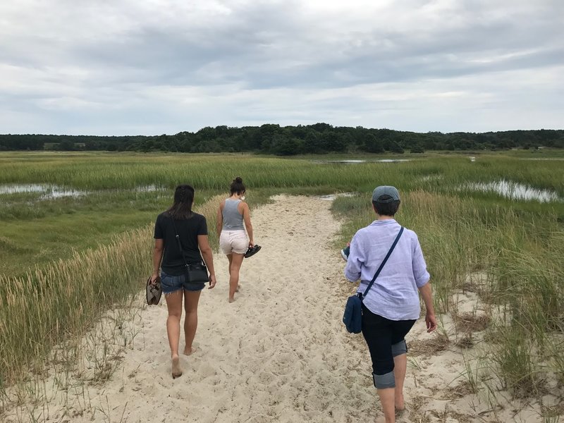 Heading back to the Try Island Trail boardwalk, looking east across the marsh toward the Nature Center.