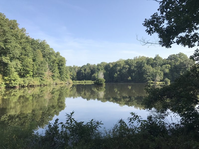 There are several spots where the trail opens up and gives you access to the lake.