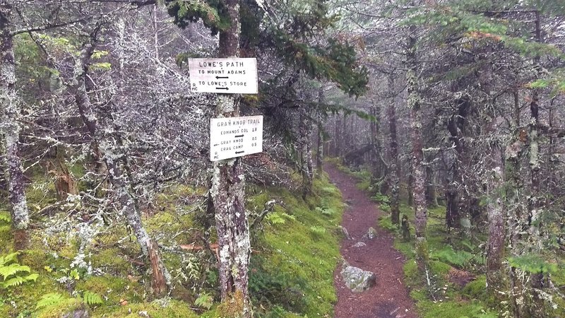 This nice looking dirt path is not typical of the terrain you'll find on these trails. It's much more rocky than this.