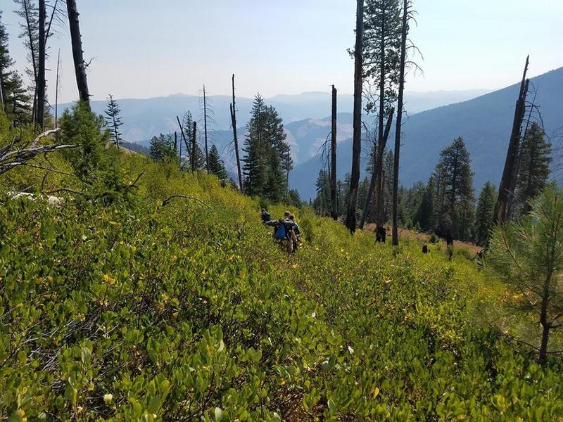 Yes, the trail is there and, though hard to see where it goes, easy to follow.