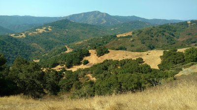 Loma Prieta in the distance, at 3,786 ft., the highest peak in the Santa Cruz Mountains, with nearby trails far below, seen looking southwest from high on Needlegrass Trail.