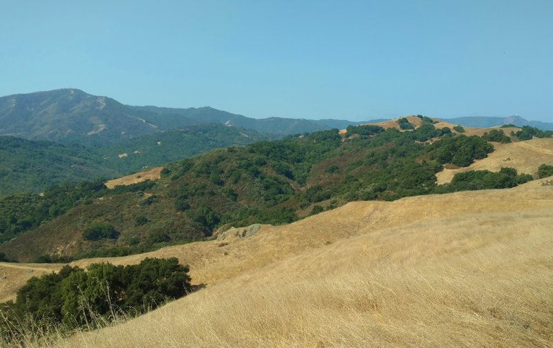 In the distance, Santa Cruz Mountains - Loma Prieta (left) and Mt. Umunhum (right), looking west-southwest from Bald Peaks Trail, on a sunny summer day.