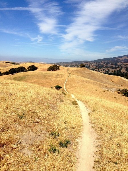 Sweet singletrack on the way to Couch Canyon.