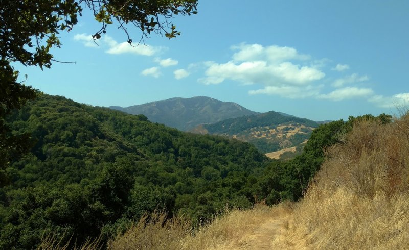 Loma Prieta in the Santa Cruz Mountains, appears in the distance, upon rounding a bend, high on Little Llagas Creek Trail.