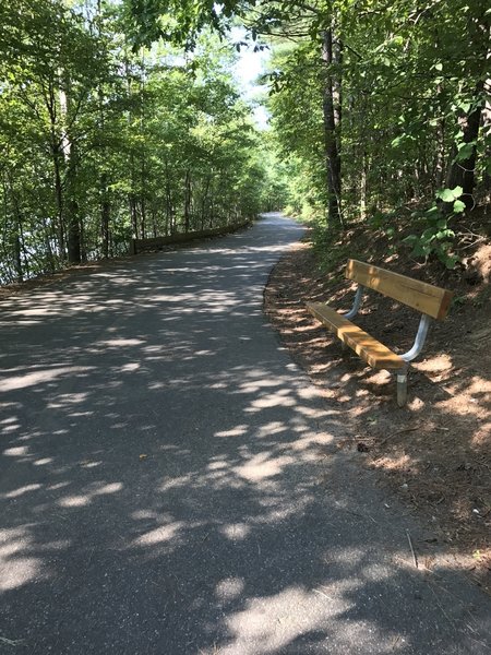 Nicely shaded path with periodic benches to rest (or exercise) if you wish.