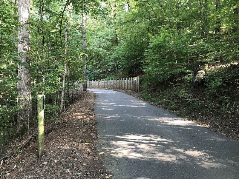 Nice wide path and heavy shade throughout.