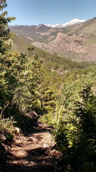 Wind River Peak in the background as you head down trail toward the Popo Agie River.