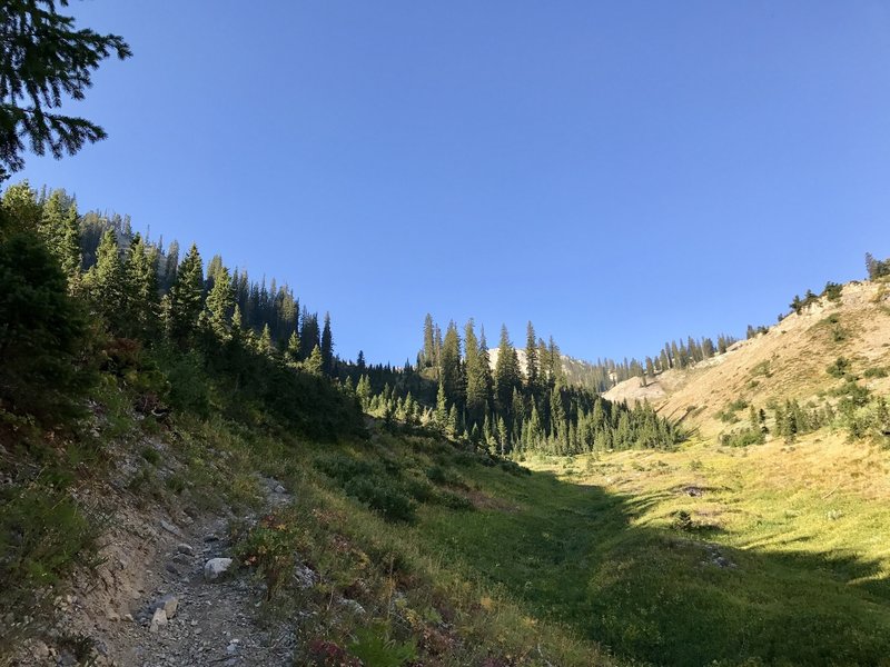 A view of the trail heading up the canyon.