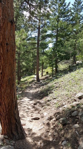 Going up the trail.