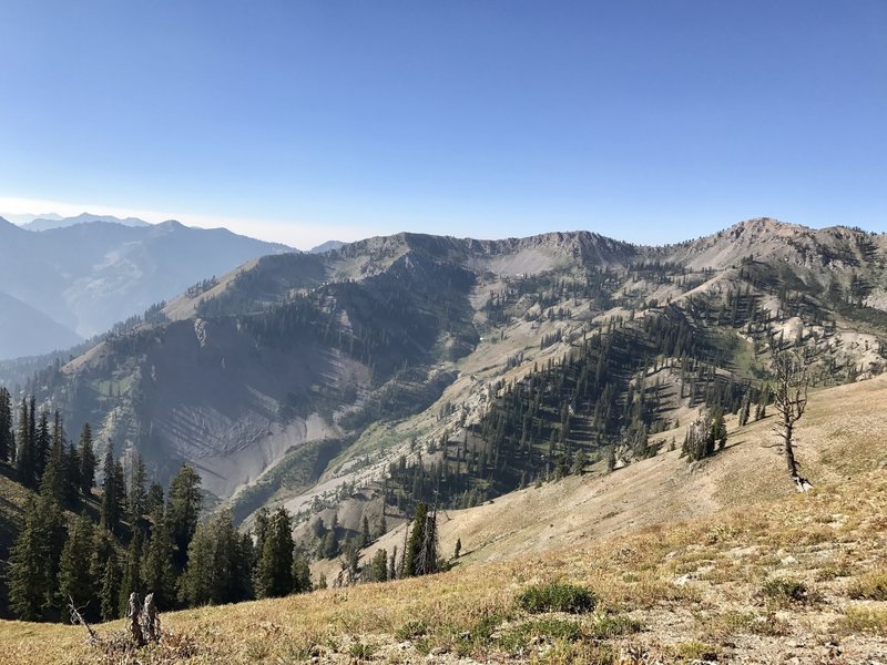 Looking down into Garden Canyon.