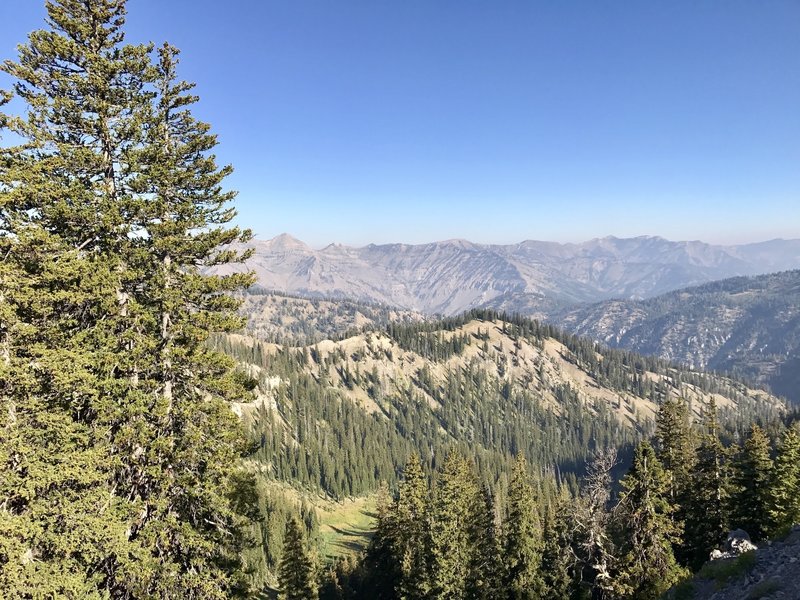 Mt. Baird (Bonneville County's high point) can be seen just to the right of the trees.