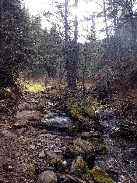 Don't let the pretty stream and flat-ish trail fool you... New World Gulch is awful.