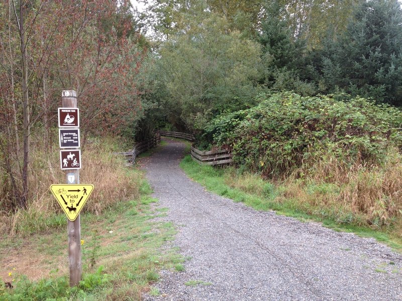 After hiking 3.5 miles along the paved Sammamish River Trail, look for this trail cutoff on your left (next to a Trail Information booth) that will take you up to the Puget Powerline Trail.