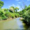 A view upriver from the bank where the trail levels out after its big descent. The larger patch of green grasses reaching the river a quarter of the way from the left edge of the photo is where to find the trail again.