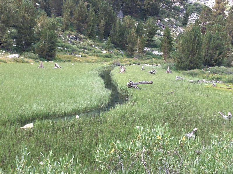 Stream going thru a lush meadow - Along the trail to Gem Lake and Morgan Pass.