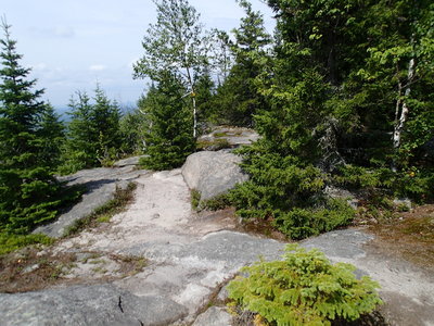 Catamount Mountain Trail.
