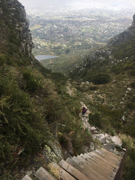 View from the top of Nursery Ravine.