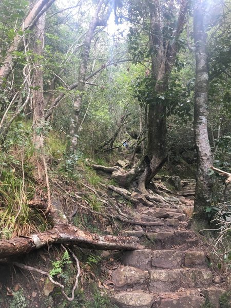 The ascent of Skeleton Gorge.