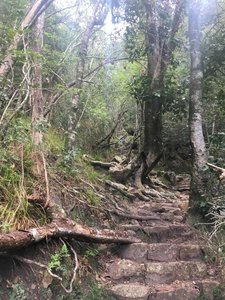 The ascent of Skeleton Gorge.