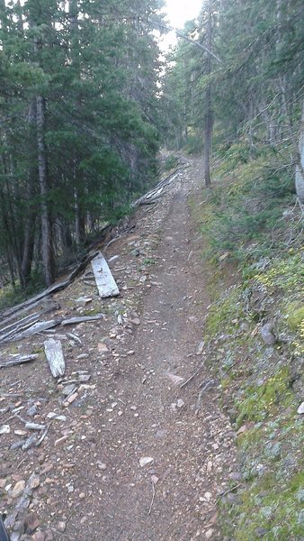 Sweet singletrack - Great Flume Trail.