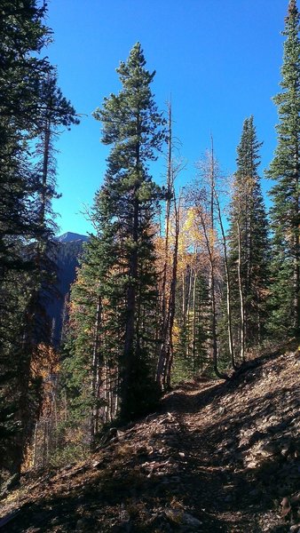 Glimpses of Mt. Guyot from the Great Flume.