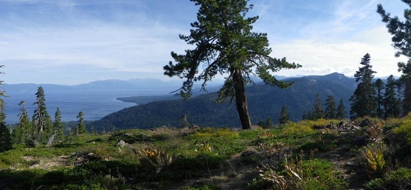 Epic views from the climb! Tahoe, South Shore, Blackwood Canyon, Rubicon Peak, Desolation Wilderness.