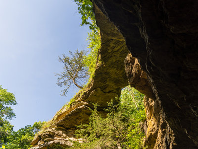 The natural bridge itself.