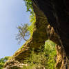 The natural bridge itself.