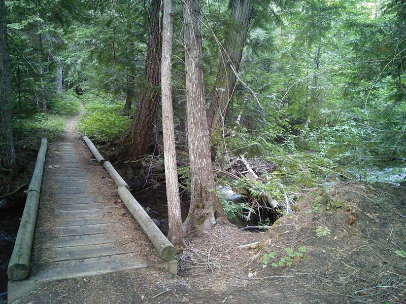 Sturdy bridge at the east end of the trail.