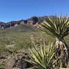 Black Mountain commands the backdrop along the 701 Trail.