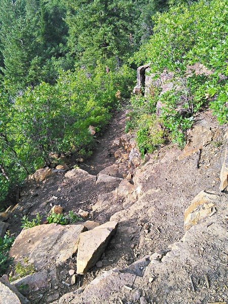 The initial plunge into the gorge is quite steep and rocky, with bedrock steps and water bars.