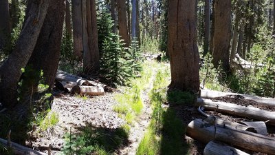 Upper Garfield Trail to South Fork Camground.
