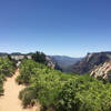 The trail leading up to Observation Point