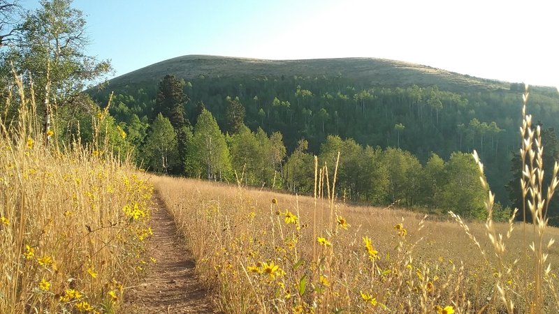 View of Big Mountain, within the first couple miles from Big Mountain Pass