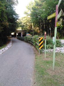 Leaving Meredith College