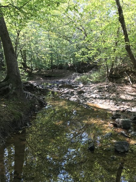 Crossing of a small stream