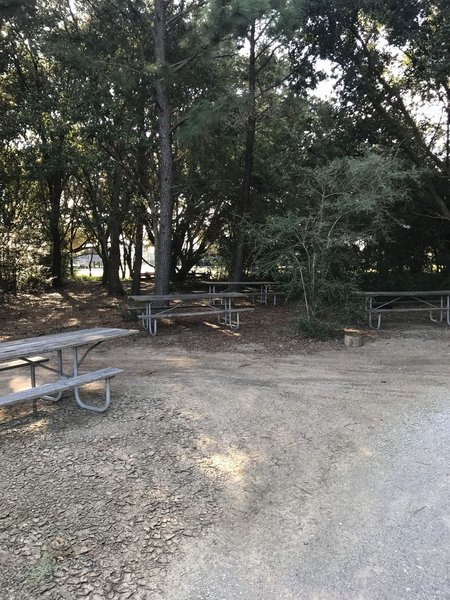 Plentiful picnic tables and benches throughout the Resource Center.