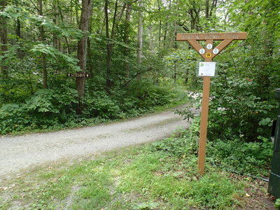 Roaring Brook Trail