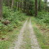 Roaring Brook Trail